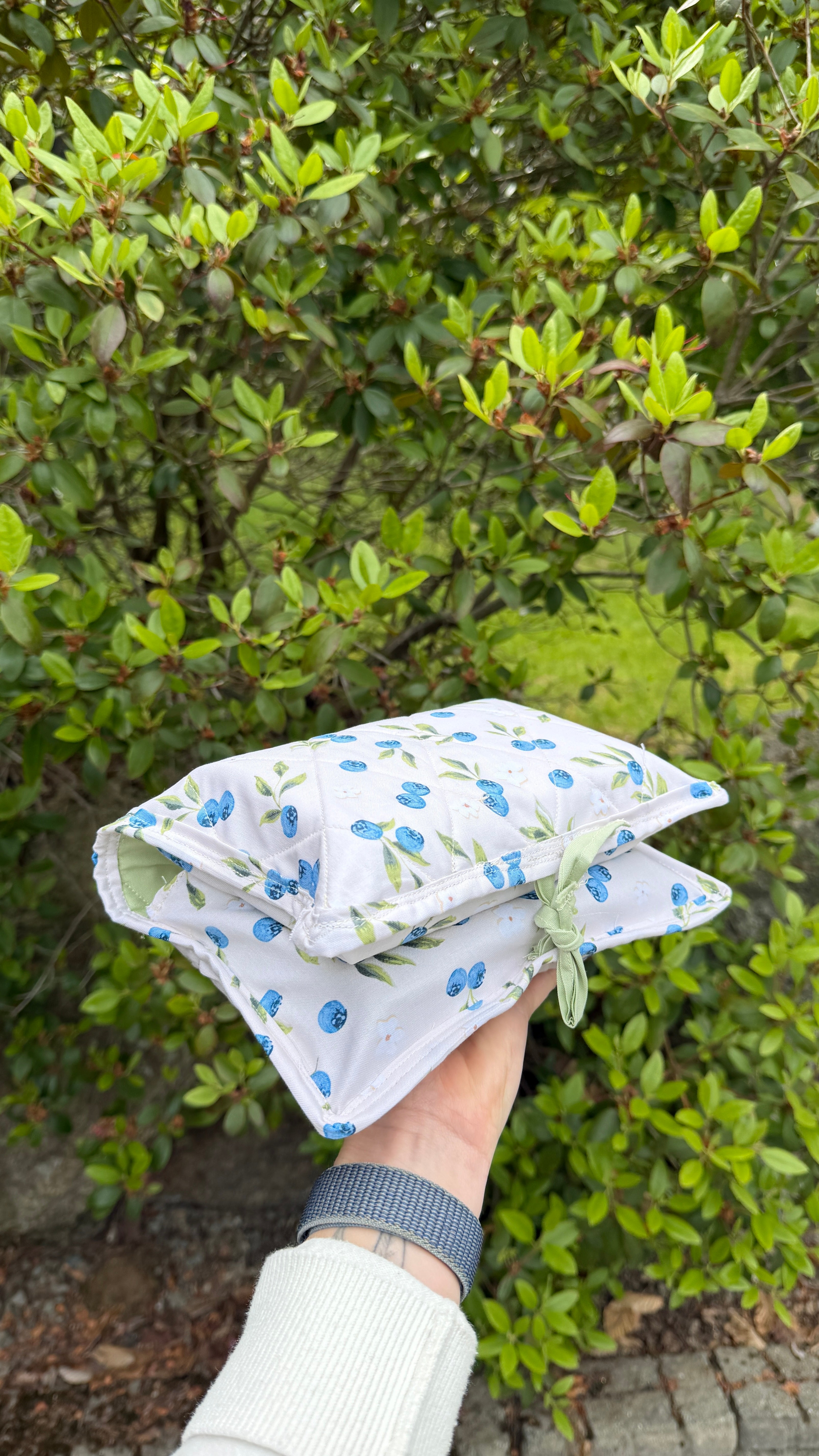 Wipe and Diaper Carrier