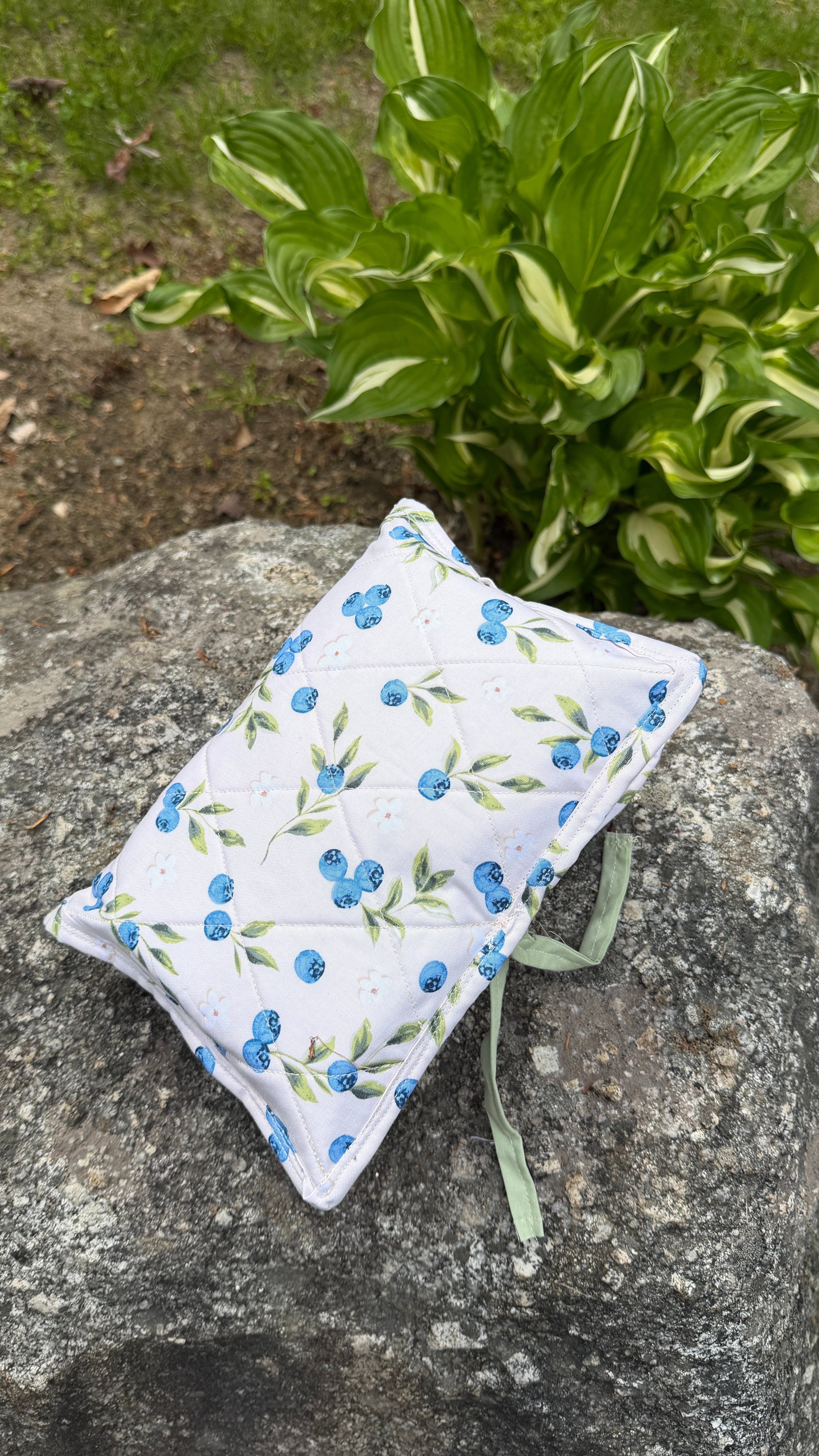 Wipe and Diaper Carrier