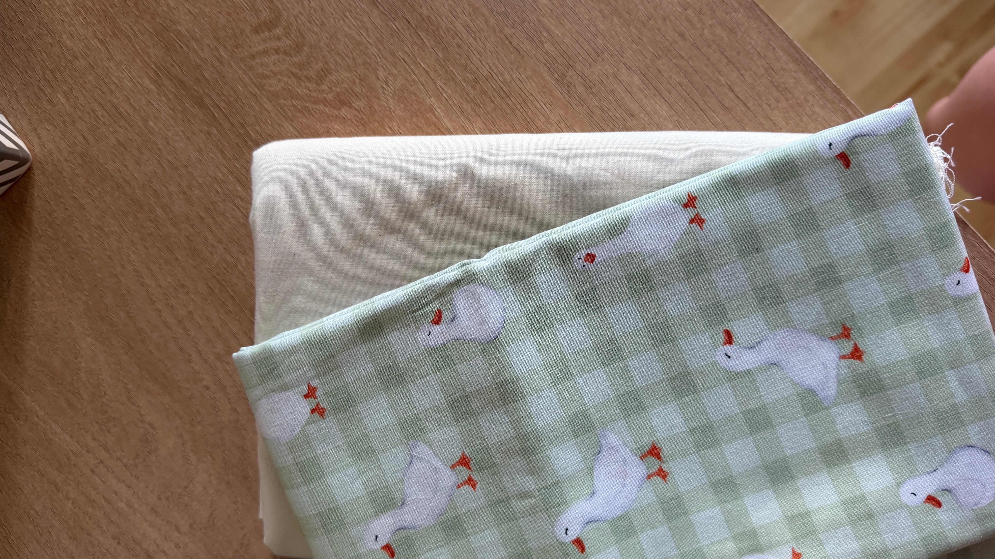 Wipe and Diaper Carrier