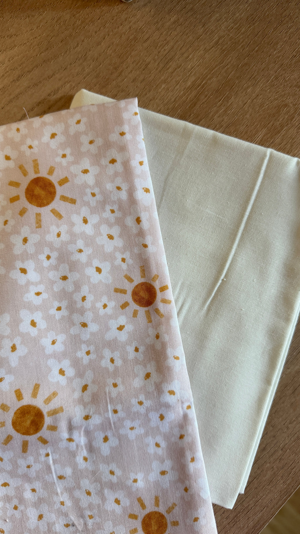Wipe and Diaper Carrier